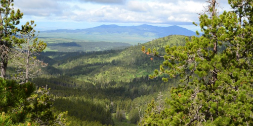 Collar Peak Trail