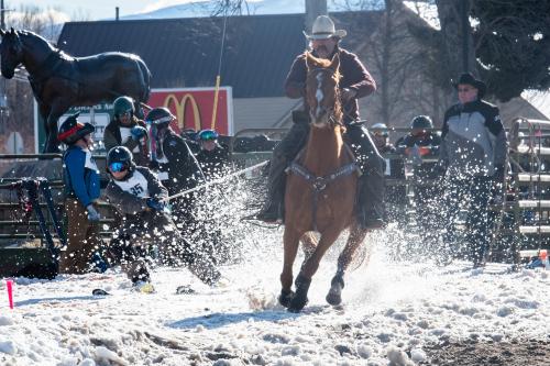 Montana Winter Fair