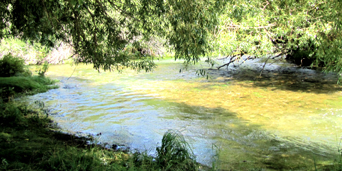 Spring Creek Fishing Access