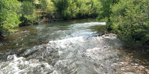 Reed & Bowles Fishing Access