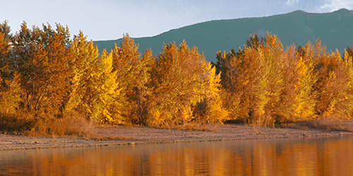 Ackley Lake