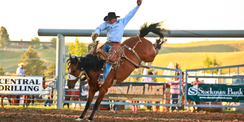 Central Montana RAM Pro Rodeo